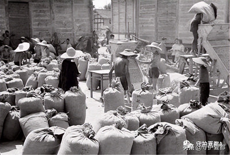 关于农民交公粮的文章,交公粮的80年代老歌完整版