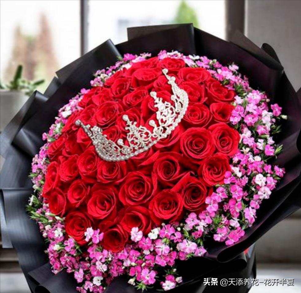 18朵粉色玫瑰花代表什么含义,5朵玫瑰花的寓意和花语是什么
