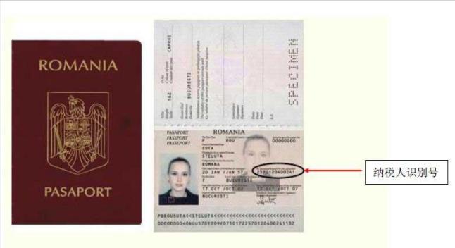 加拿大纳税人识别号规则,外籍人员纳税人识别号