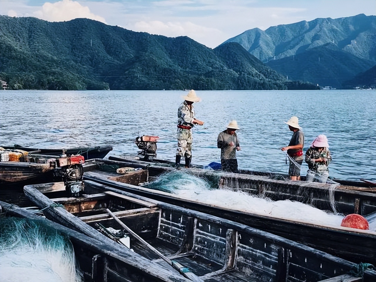 万尾鱼苗离奇失踪,鱼苗死亡鱼苗老板有责任吗