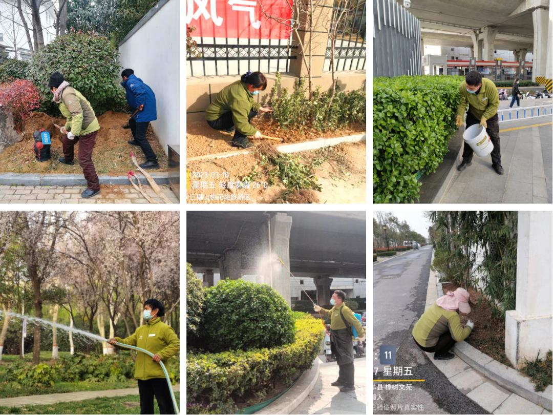 春天藏在温暖的阳光里,春天藏在生活里