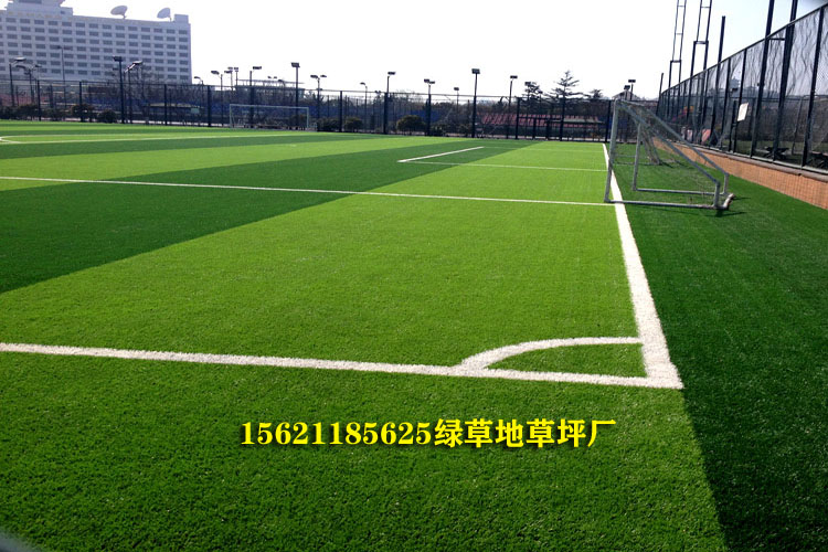足球场假草皮价格和介绍,假草皮足球场多少钱