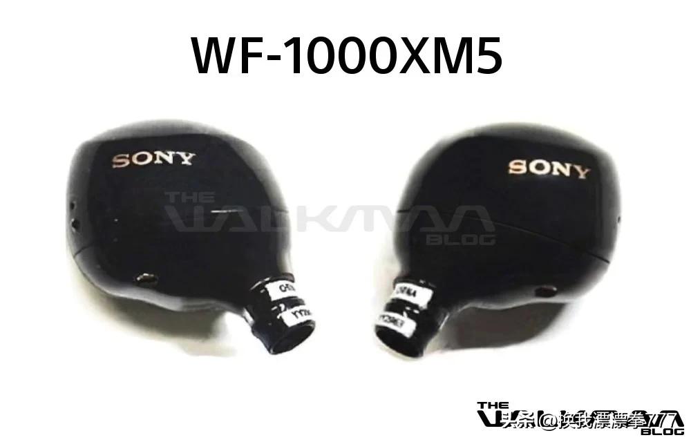 sonywf1000xm5发布时间,sonywf-1000x