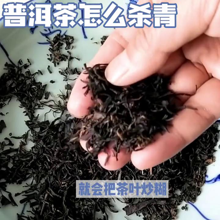 普洱茶的萎凋和杀青的作用,普洱茶制作工艺萎凋程度