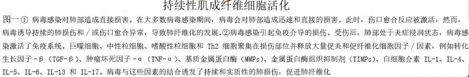 肺病毒感染,病毒感染的肺纤维化能治愈么