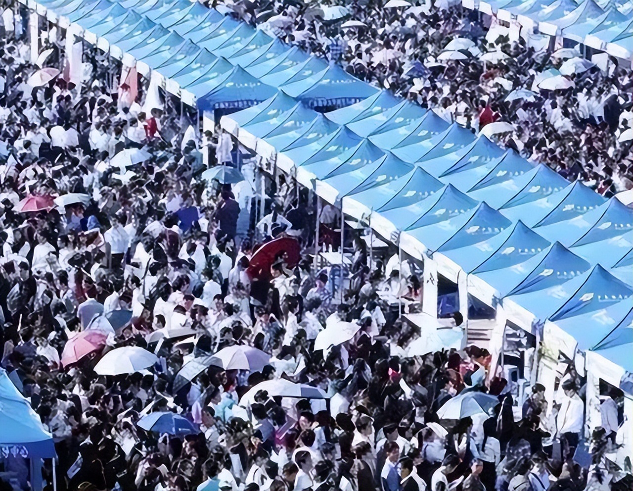 曾经辉煌的两大行业，如今纷纷涌现“下岗潮”，毕业生何去何从？