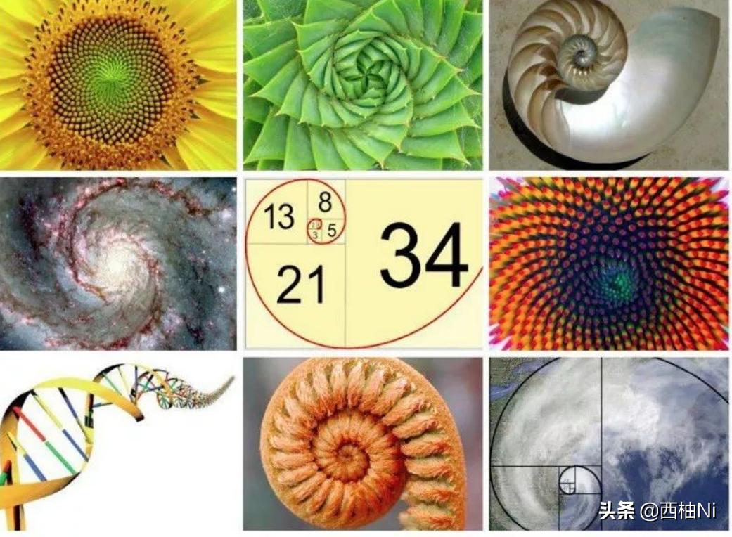 数学既是发现也是发明,数学究竟是一种发明还是发现