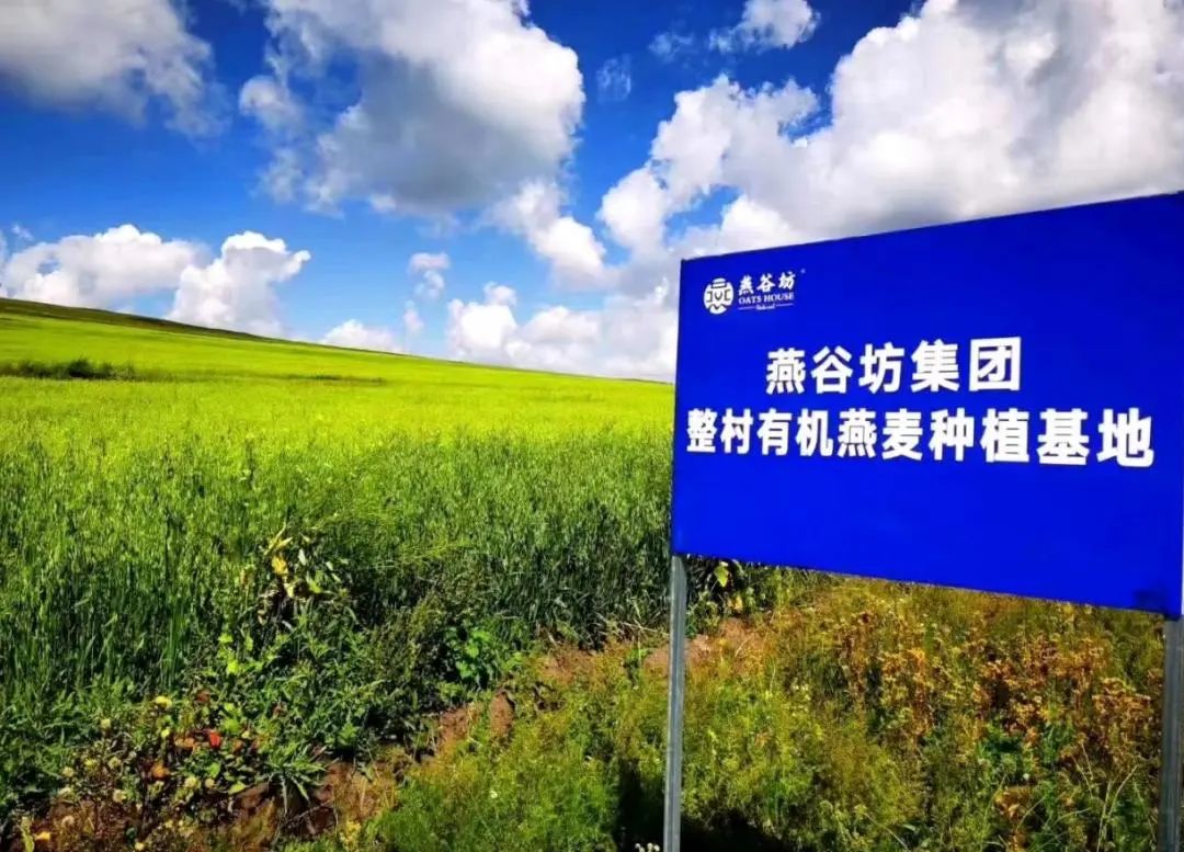 1700公里的奔赴,1900公里的奔赴