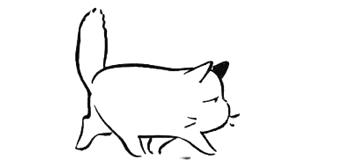 治愈系背景图高清版风景,风景素材治愈系哪里找