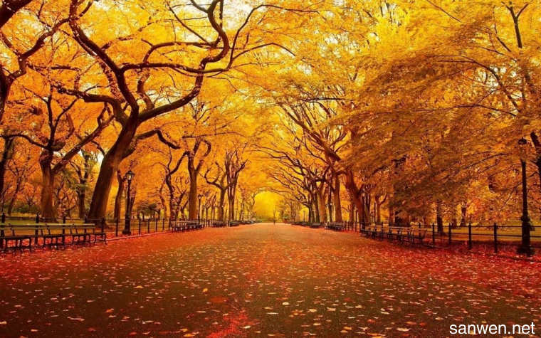 物质的检验与鉴别分离和提纯,物质的分离和提纯初中