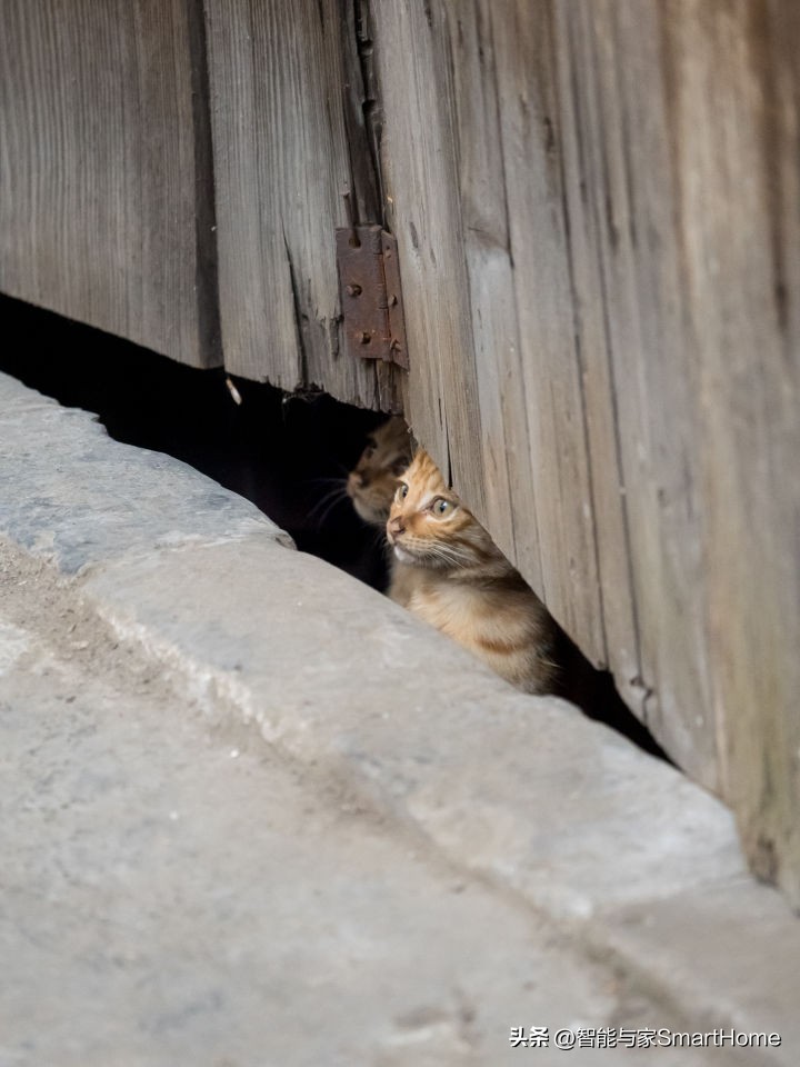 王者归来，它是M4/3的未来式OM-SYSTEMOM-1体验记