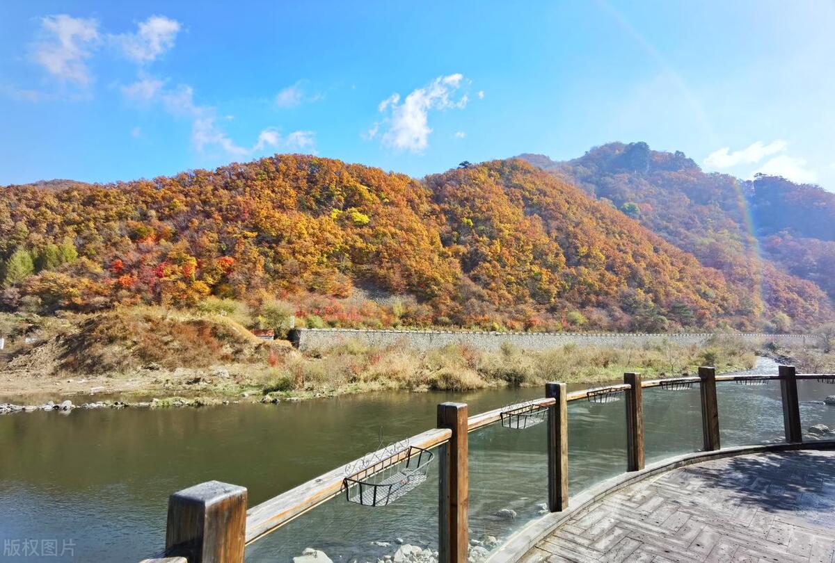 中央的宠儿宜宾,本溪中央