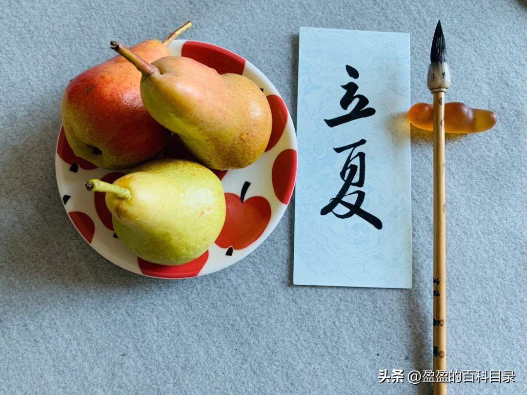 立夏第一天注意什么,立夏后注意事项与养生