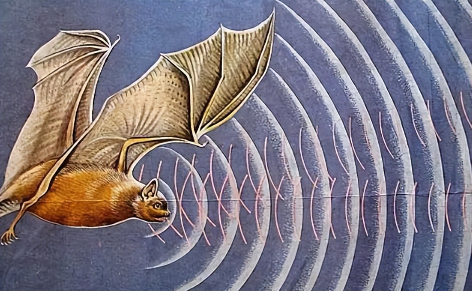 福建大型相控阵雷达,福建舰作战能力与美国航母对比