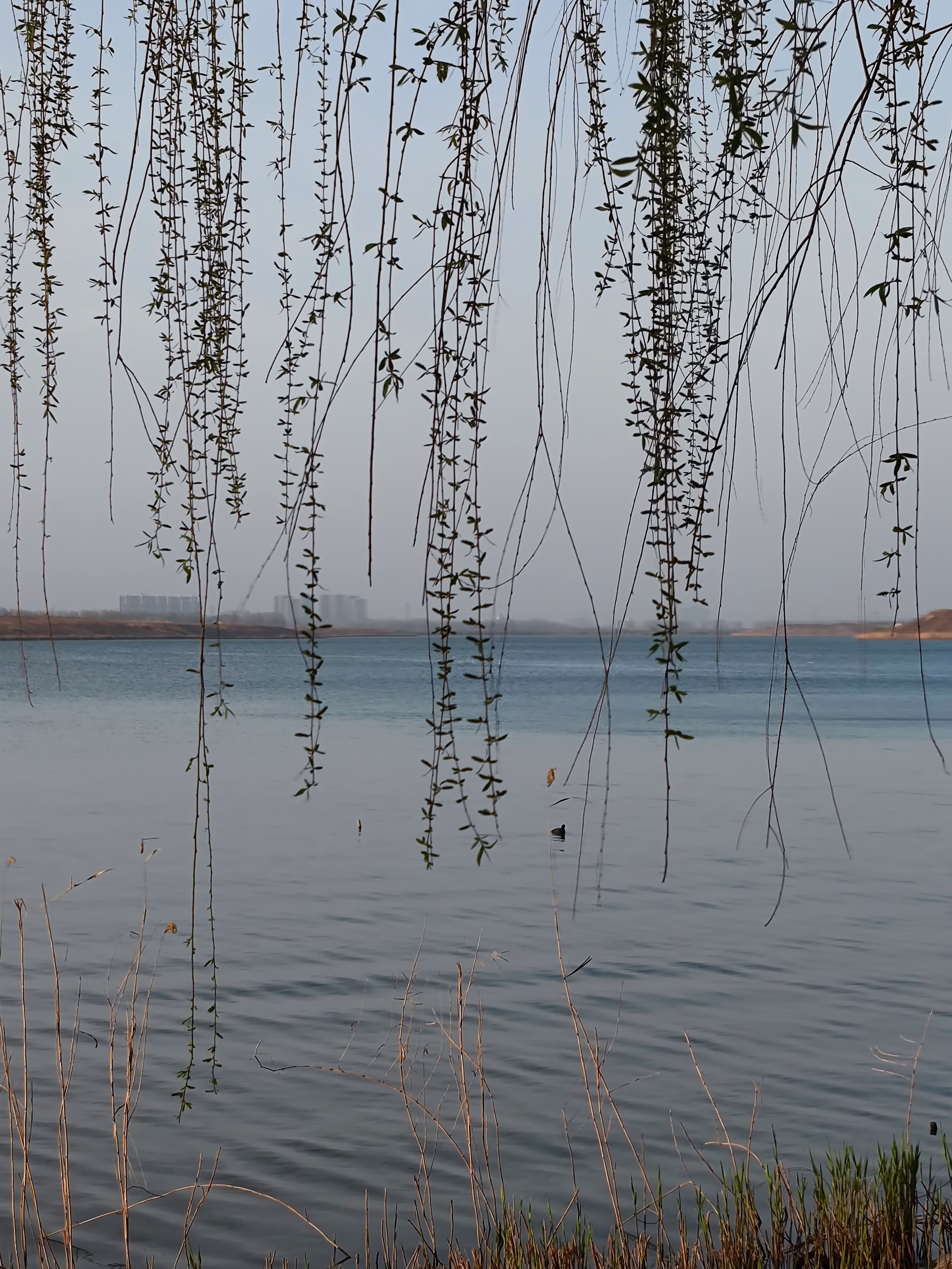 邯郸疫情旅游攻略,疫情当前少去人多的地方