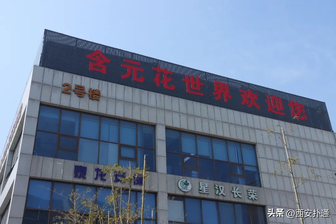 西安情人节去哪比较好,西安买花攻略