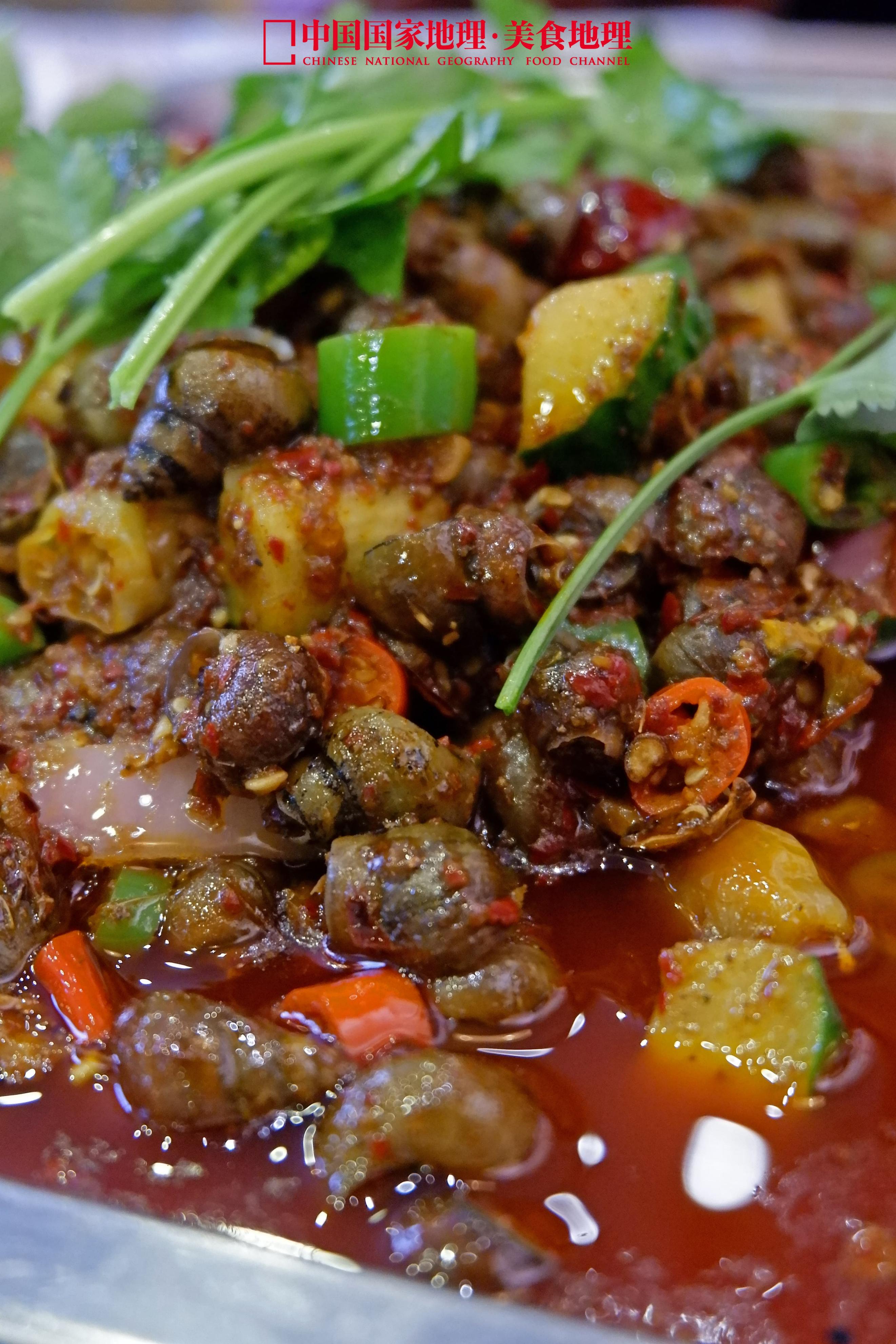 万州思念,万州回忆过去