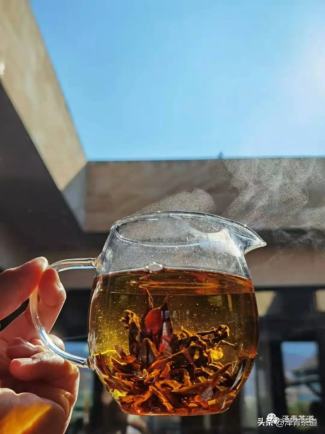 三伏天一定要知道的健康小知识,三伏天健康攻略