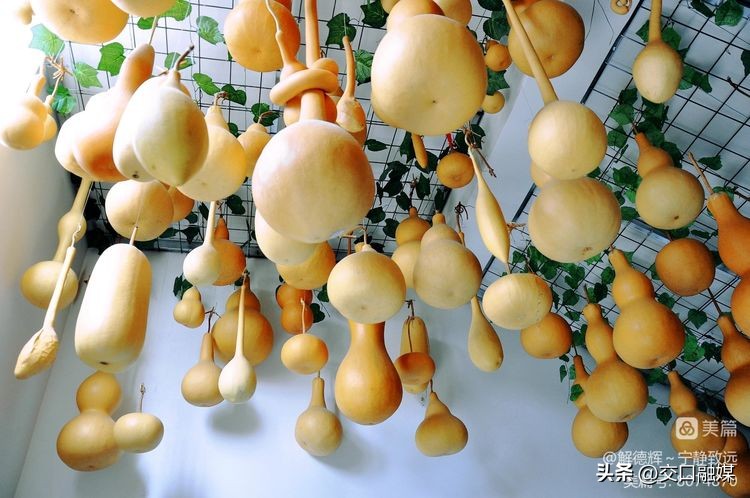 【解德辉~宁静致远】文化园中赏葫芦博物馆里品非遗——吕梁市葫芦文化博物馆纪行