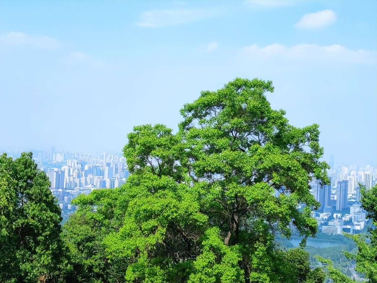 合肥100公里周边旅游景点推荐,合肥一日游必去景点推荐2021