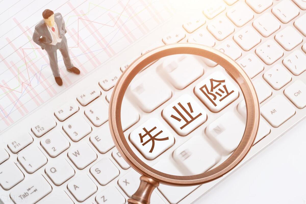 失业保险如何发挥促进就业的功能,失业保险的实施方案有哪些