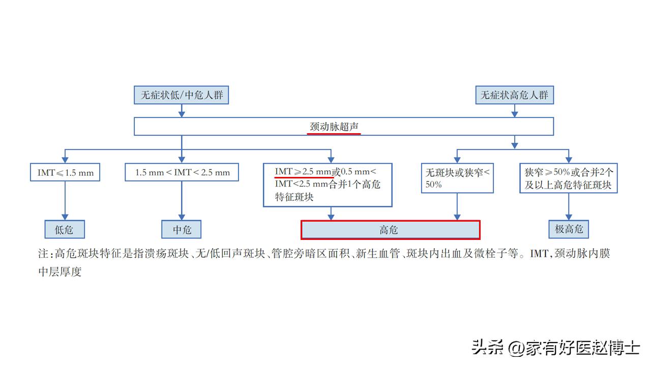 超声检查到的斑块多大才危险,超声检查颈动脉完全闭塞准吗