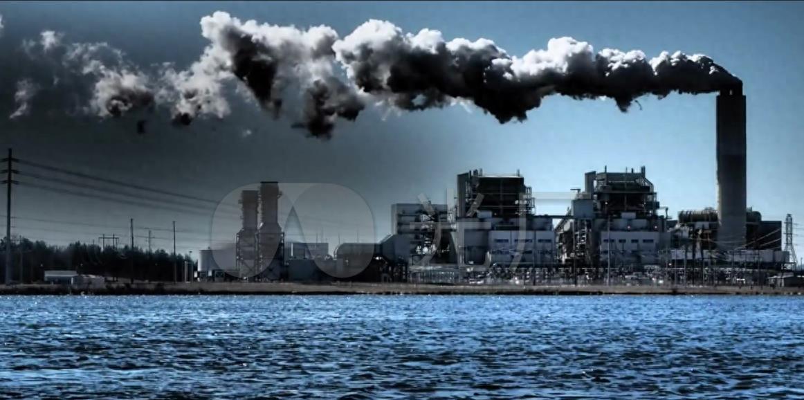 韩国老板硬气，自费租飞机把10万条死鱼运到福岛，日本人傻眼了