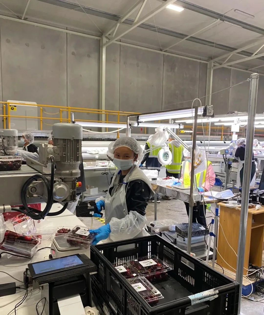 中国流浪女在新西兰,中国姑娘在新西兰街头流浪