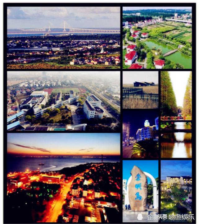 网红主播雪梨罚款原因,网红雪梨朱宸慧