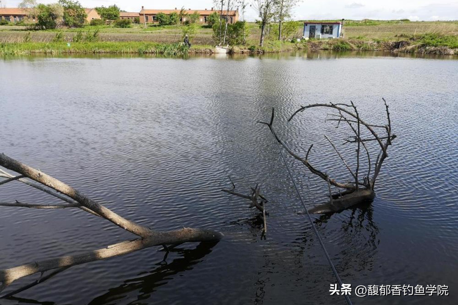 钓鱼技巧怎样才能找到鱼窝,钓鱼找鱼窝技巧教学下午几点去