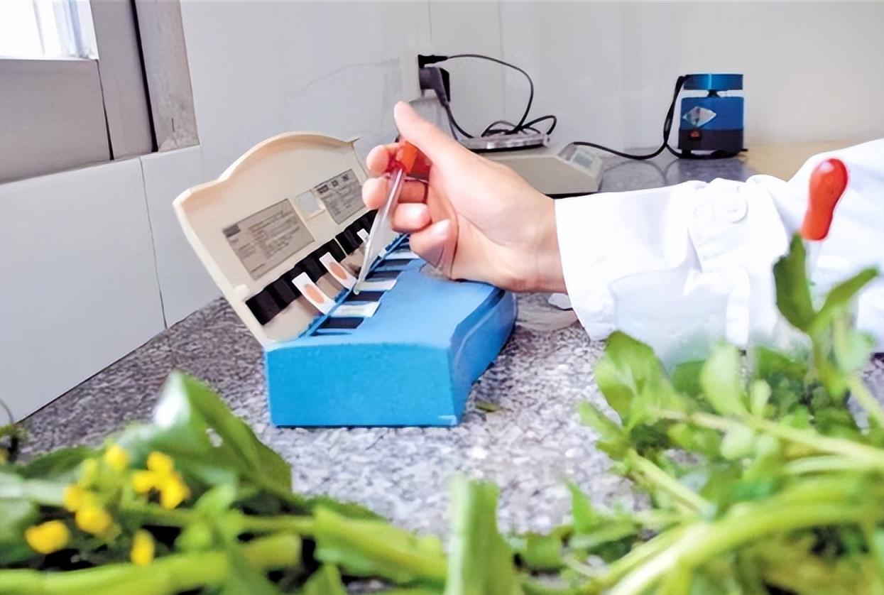 榆林芹菜罚款事件是怎么定性的,陕西榆林个体户卖5斤芹菜被罚