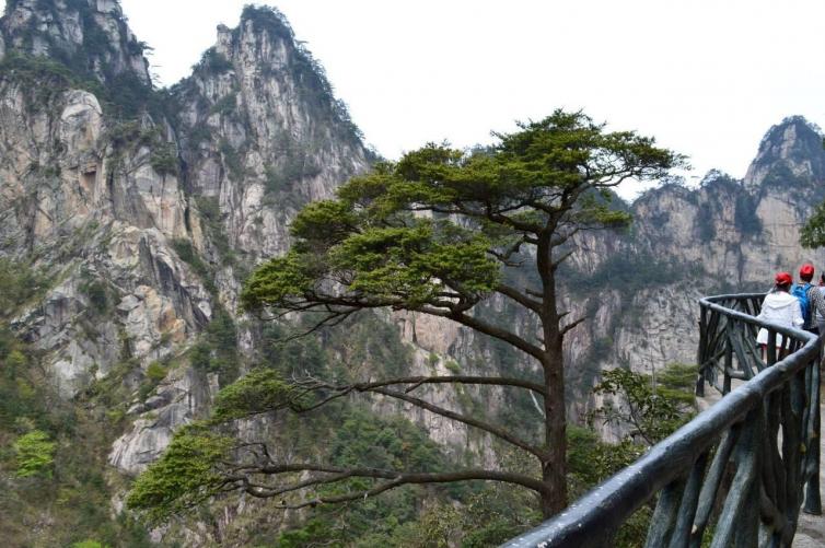 上海避暑,上海景点避暑攻略自驾游