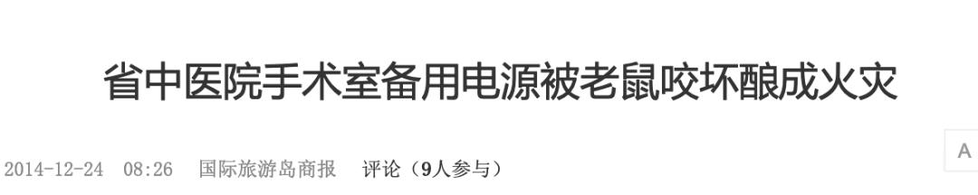 医院消灭老鼠小妙方,医院消灭老鼠的有效方法