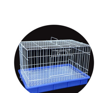 养兔子怎么干净卫生,养兔子的缺点和坏处