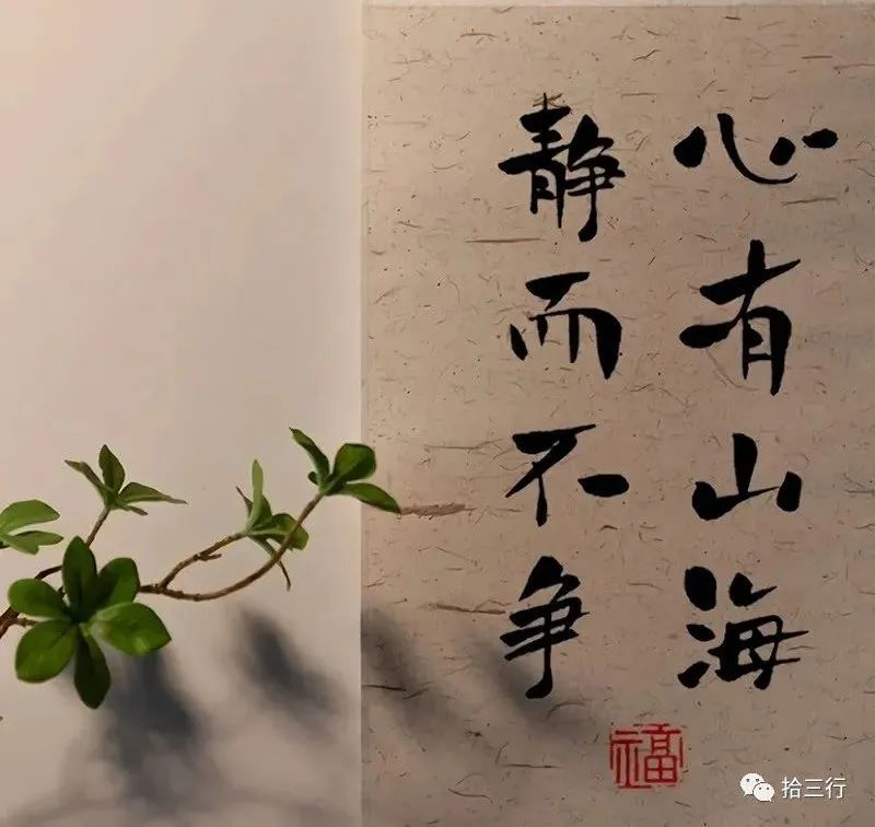 求求你，别做网络乞丐了