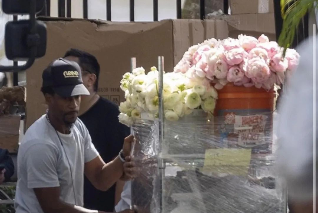 现实版豪门赘婿,现代豪门赘婿