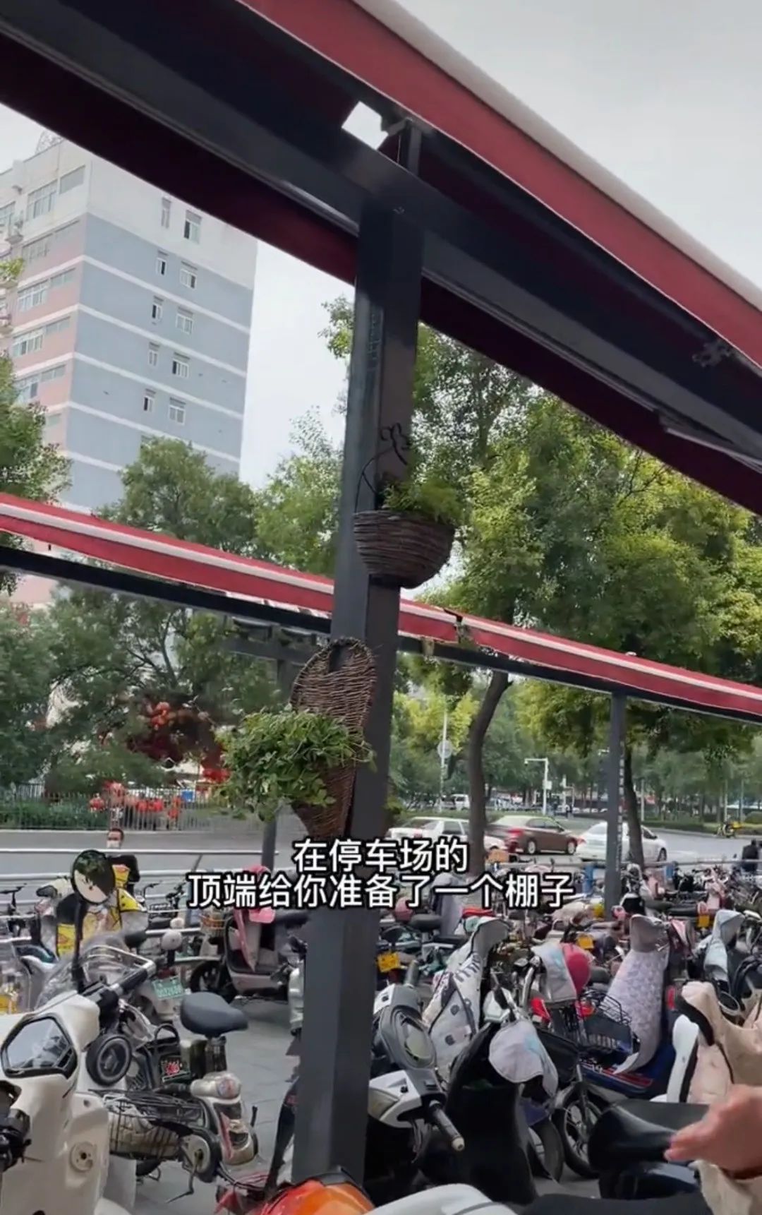 胖东来又多了一个好玩的地方,胖东来又有神操作