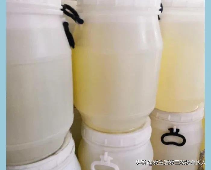 月入6万的项目有哪些,足不出户月入上万的方法