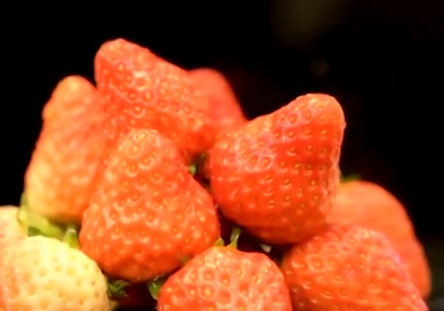 90后小夫妻回村建农场的生活视频,90后小夫妻回家种地