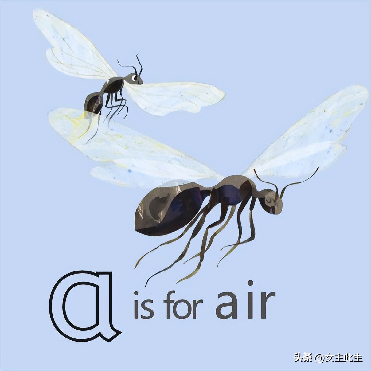 认识小动物的英语绘本,关于动物的英语绘本大全