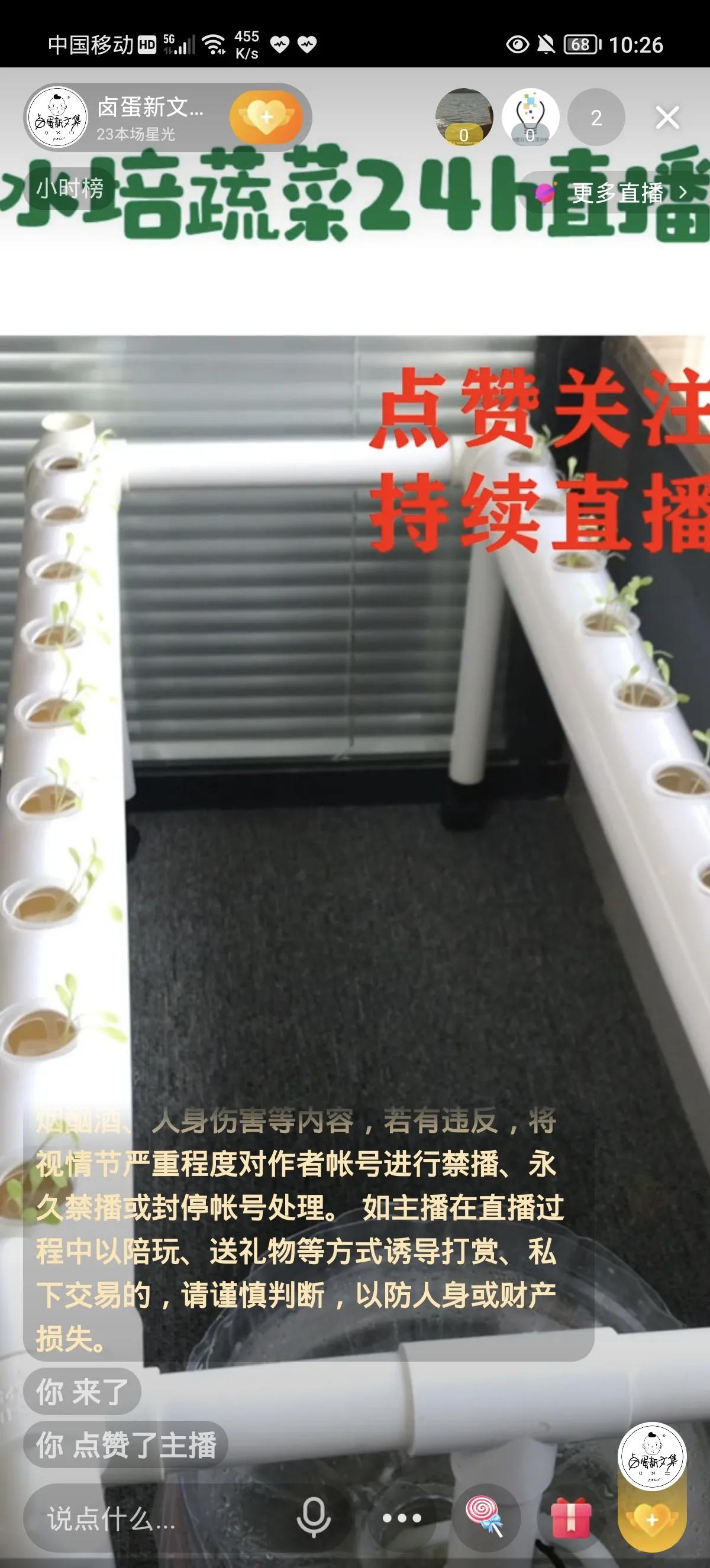 水培蔬菜怎么样才能发芽,水培蔬菜口感如何