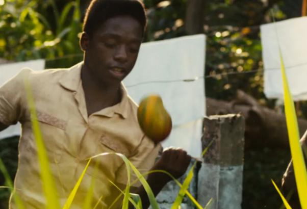 巴西五次世界杯冠军完整版,巴西五次世界杯夺冠在哪几次