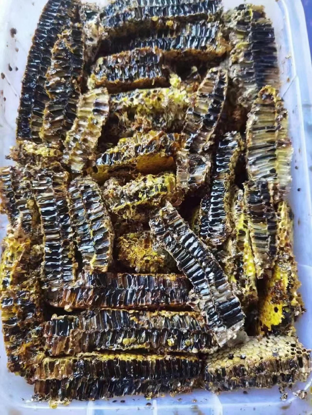 云南野生黑蜂蜜,云南黑蜂蜜到底是真是假