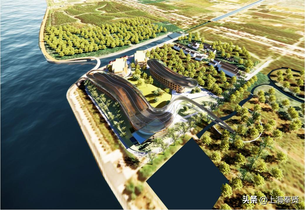 庄行镇乡村振兴,庄行镇发展规划