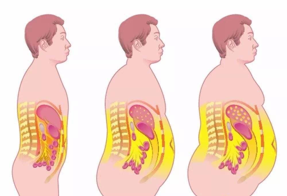 全球公认最佳减脂运动双人,全球公认十大高效减脂运动
