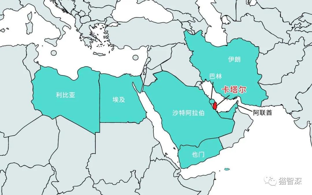 卡塔尔世界杯实力盘点,卡塔尔世界杯实力解析