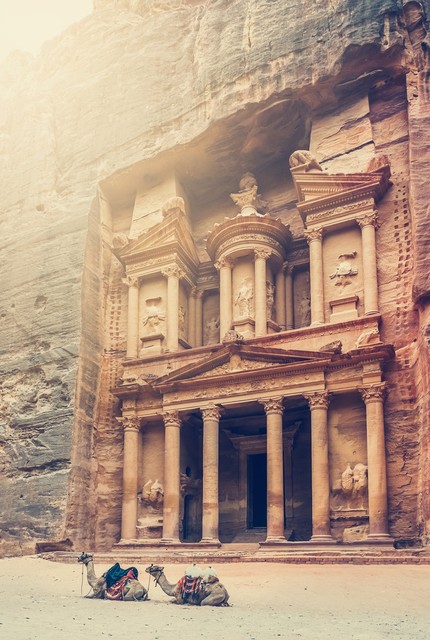 约旦枫树,约旦最新状况今天