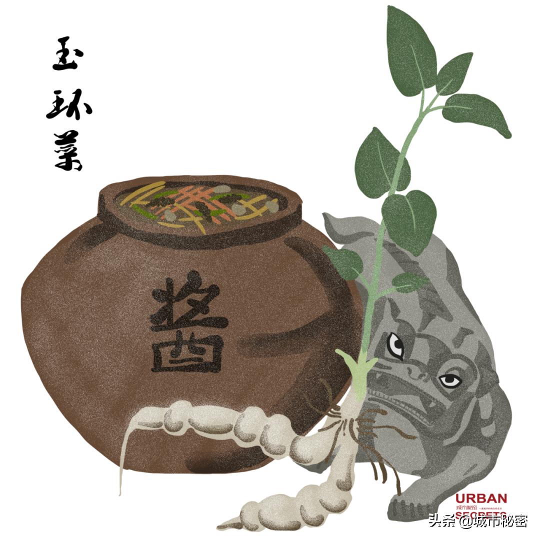 艮山门在拱宸桥北面,杭州艮山门水果市场简介