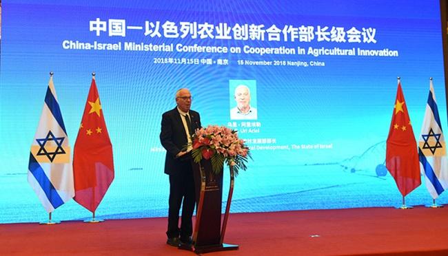 古代历史中的以色列,古代以色列鼎盛时期