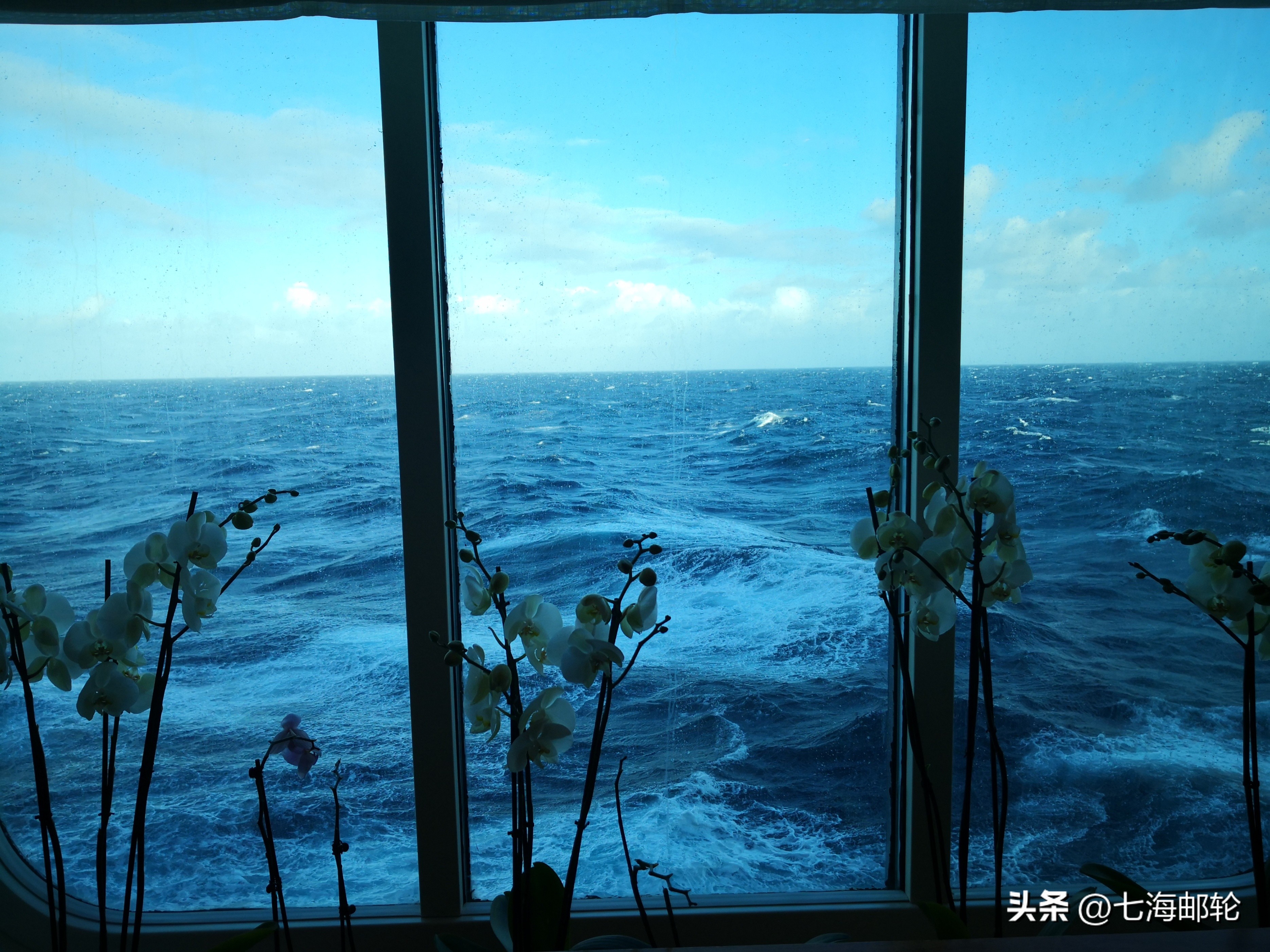 日本邮轮6日游注意事项,第一次邮轮旅行有哪些注意事项